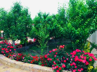 باغ ویلای دوخوابه با استخر آبگرم بیلیارد ایرهاکی